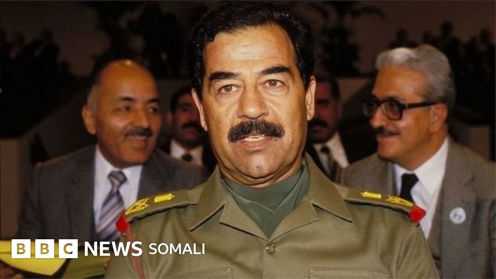 Yovvoyi, buzuq jinsiy aloqa