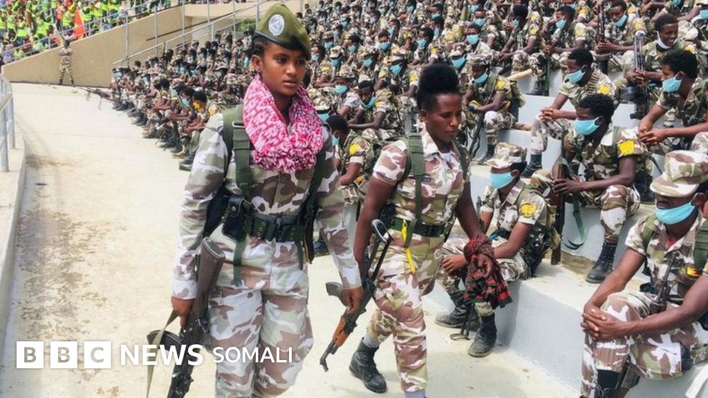 Oyoq barmoqlarini yalagan lezbiyenlar guruhi