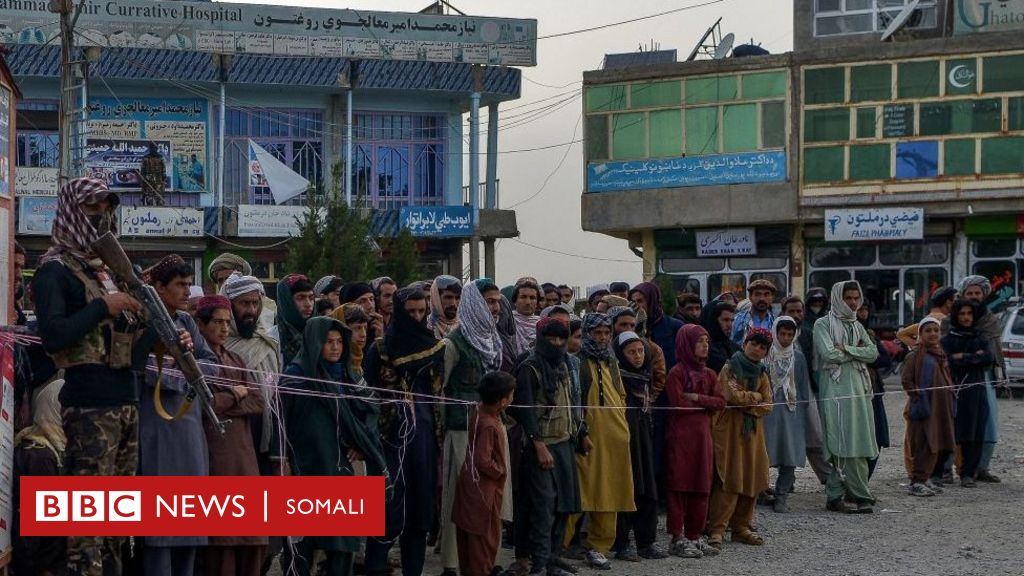 Dhul-gariirka Afghanistan: Qeylo-dhaanta Taalibaan Iyo Wararkii Ugu ...