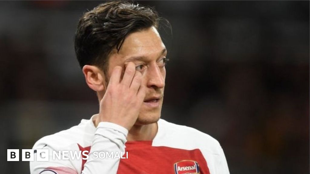 Yaponiyalik talabalarni imtihon qilish