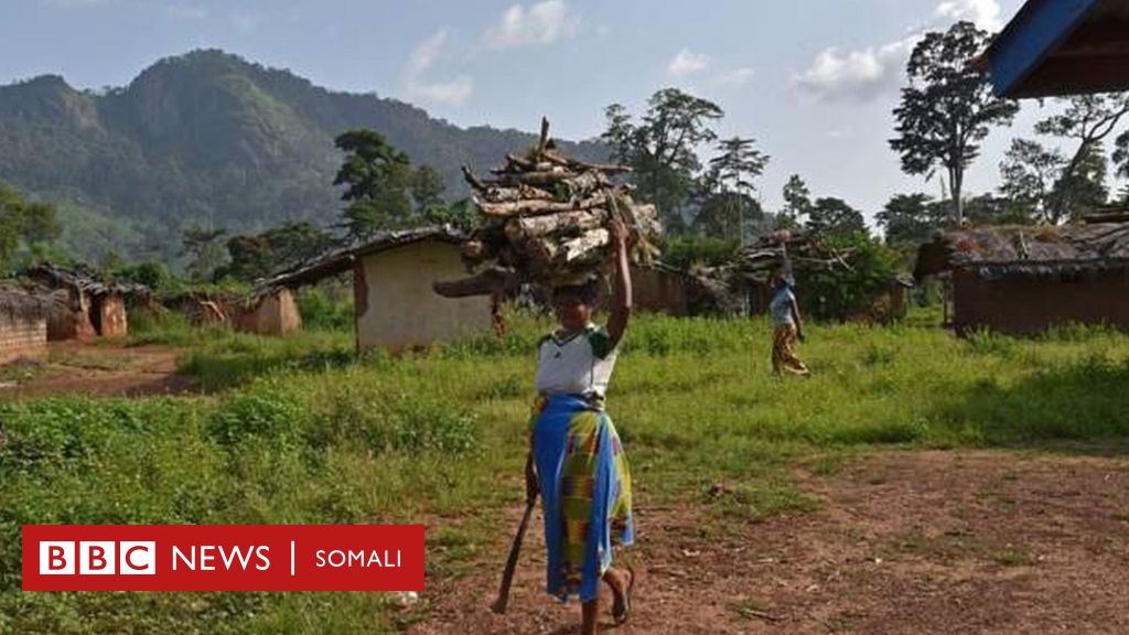 Dowladda Ivory Coast Oo Dumarka Ka Mamnuucday Shaqooyinka Qaar - BBC ...