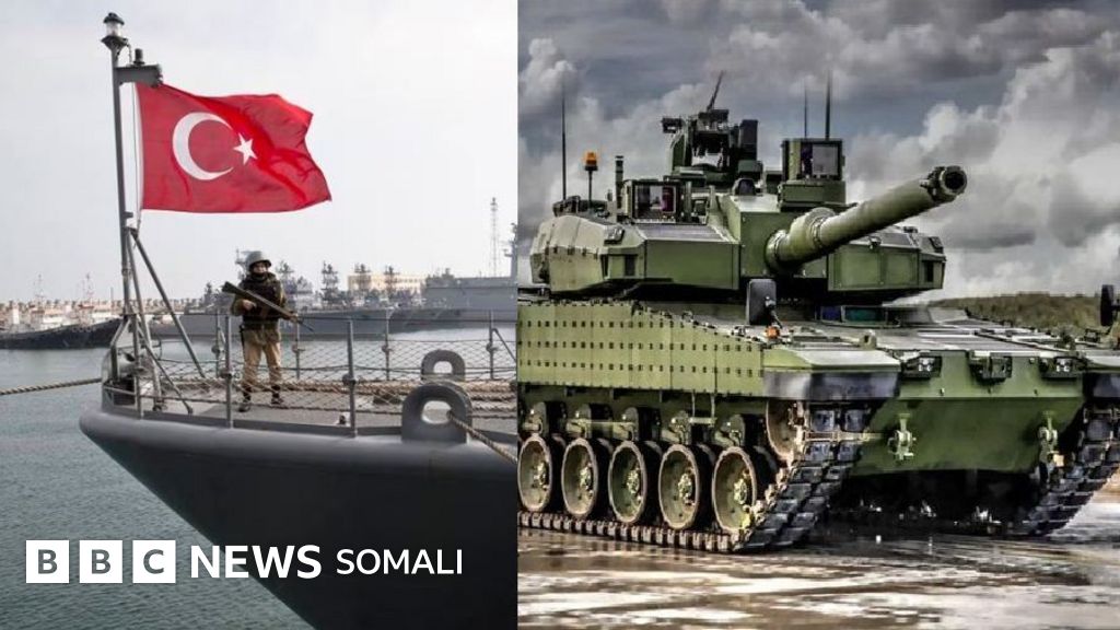 Gendom facesitting porno video