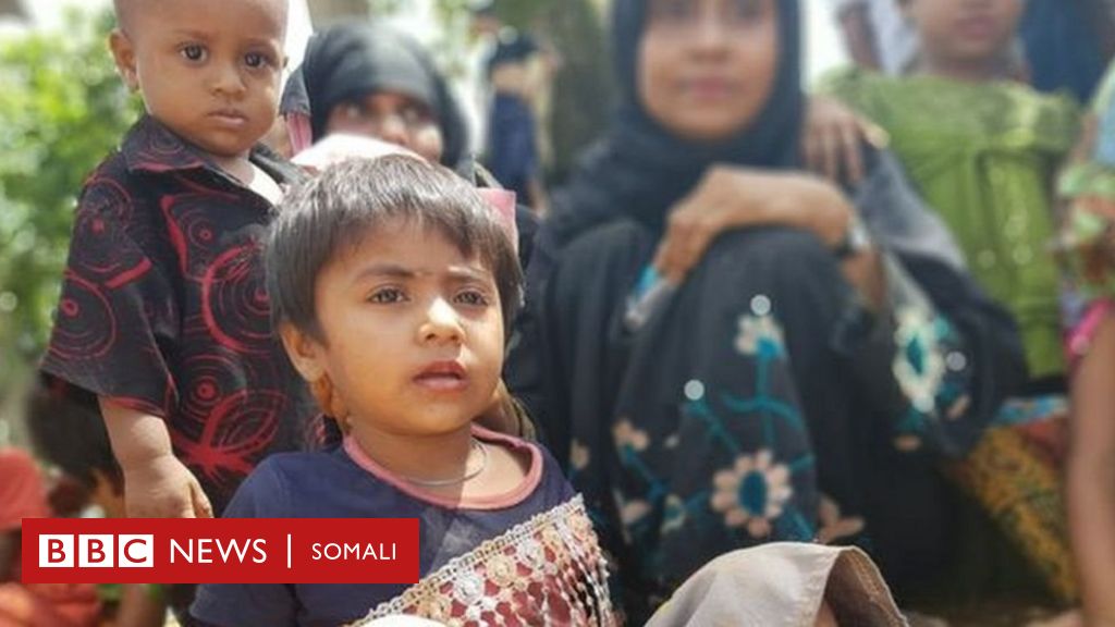 Ma Taqaan Hogaamiyaha Ciidanka Badbaadinta Rohingya? - BBC News Somali