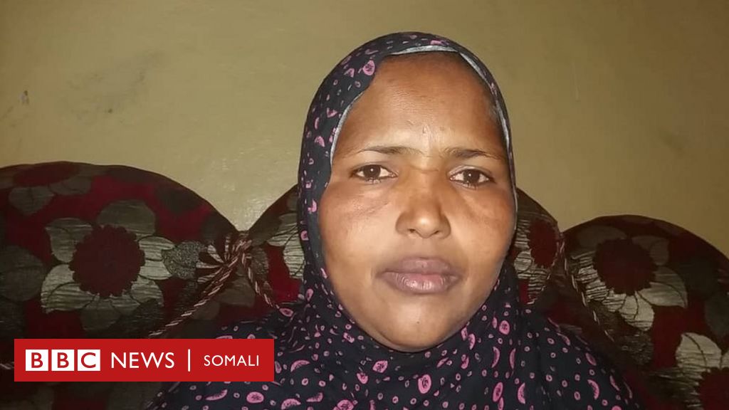 Wasmo 2020 Cusub Download Niiko Kacsi Live Ah Somali Niiko Cusub 2020