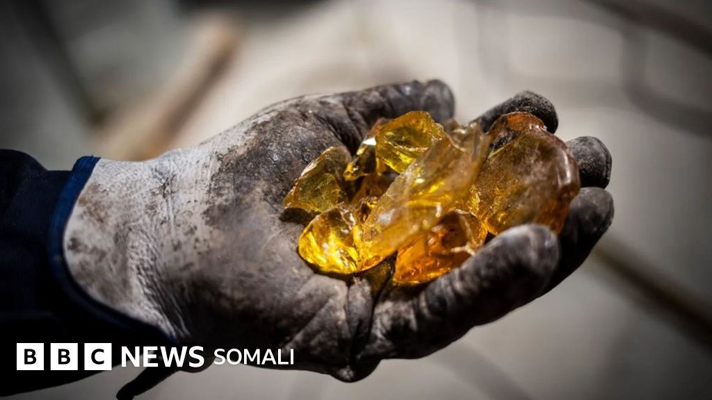 Hojatxona tozalovchi porno onlayn Qizlar va otlar onlayn porno tomosha qilish