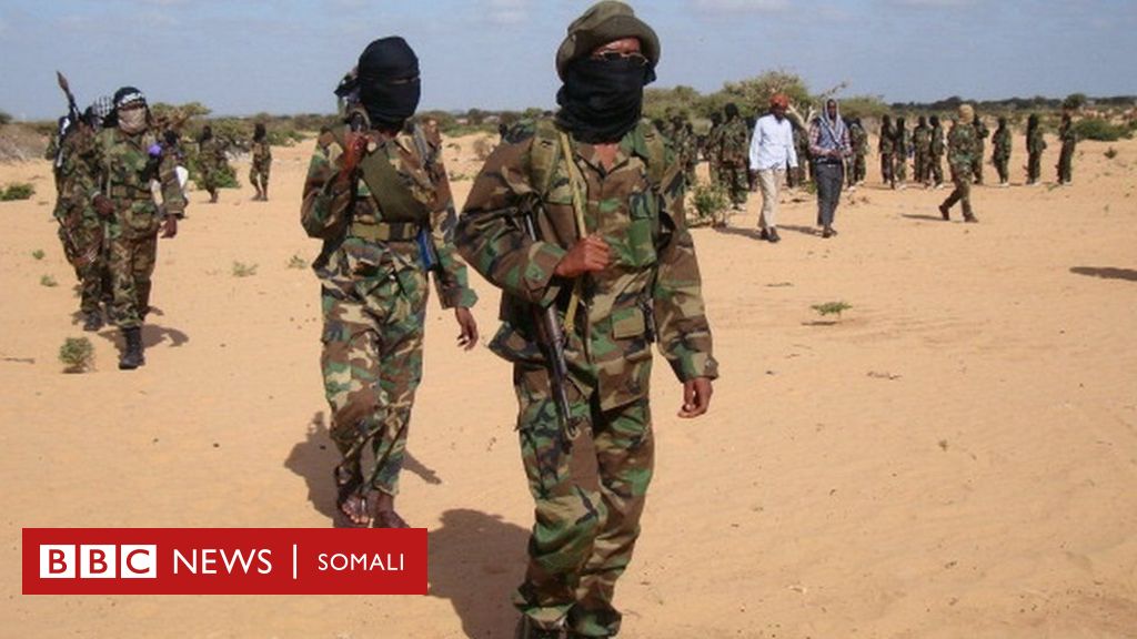 Maxaan Ka Ognahay Weerarka Ay Shabaab Ku Qaadeen Deegaanka Wisil? - BBC ...