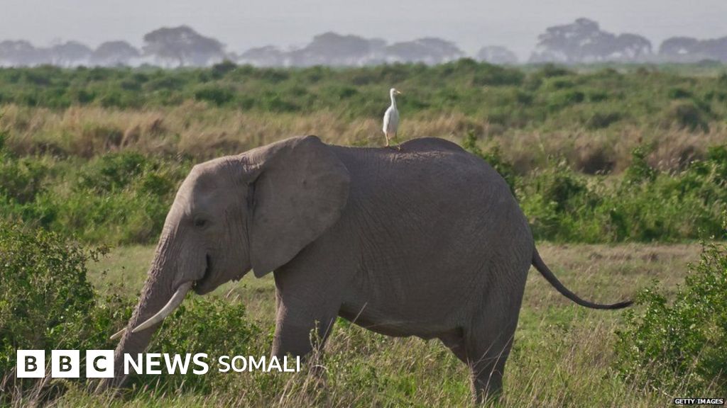 Har bir narsani oz ichiga olgan porno massaj