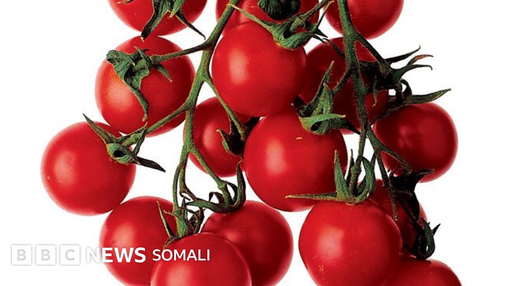 Jinsiy aloqa paytida sochlarni ushlaydi Qiz va jinsiy aloqa mashinasi videosini tomosha qiling