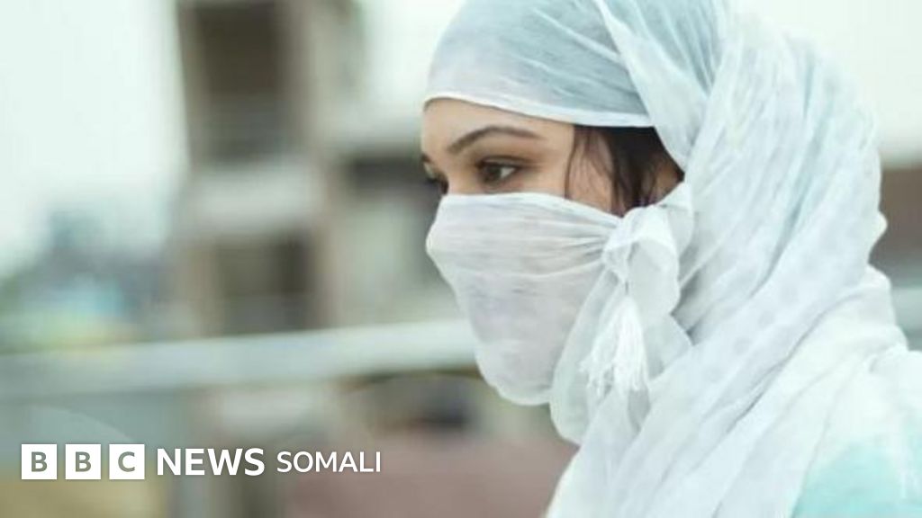 Sinfda jinsiy aloqa Sinfda jinsiy aloqa