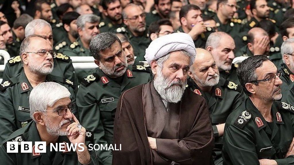 Yalangoch Ariel Pieper fotosuratlari