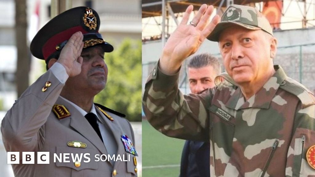 Porno lezbiyenler kamming