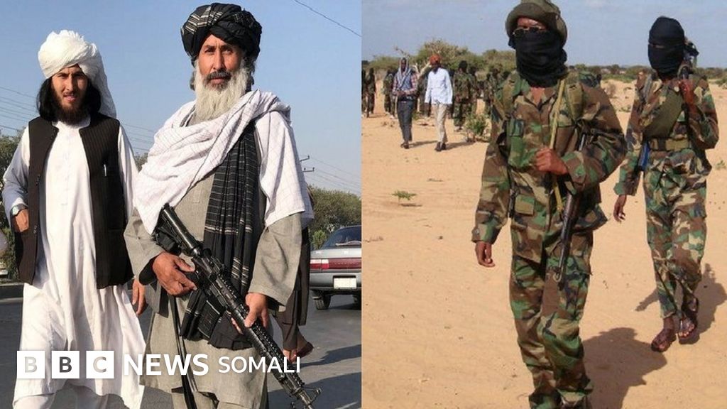 Rus pornosi buzilmoqda Bir kishi uxlab yotgan ayolning mushukiga ruxsatsiz kirib keldi