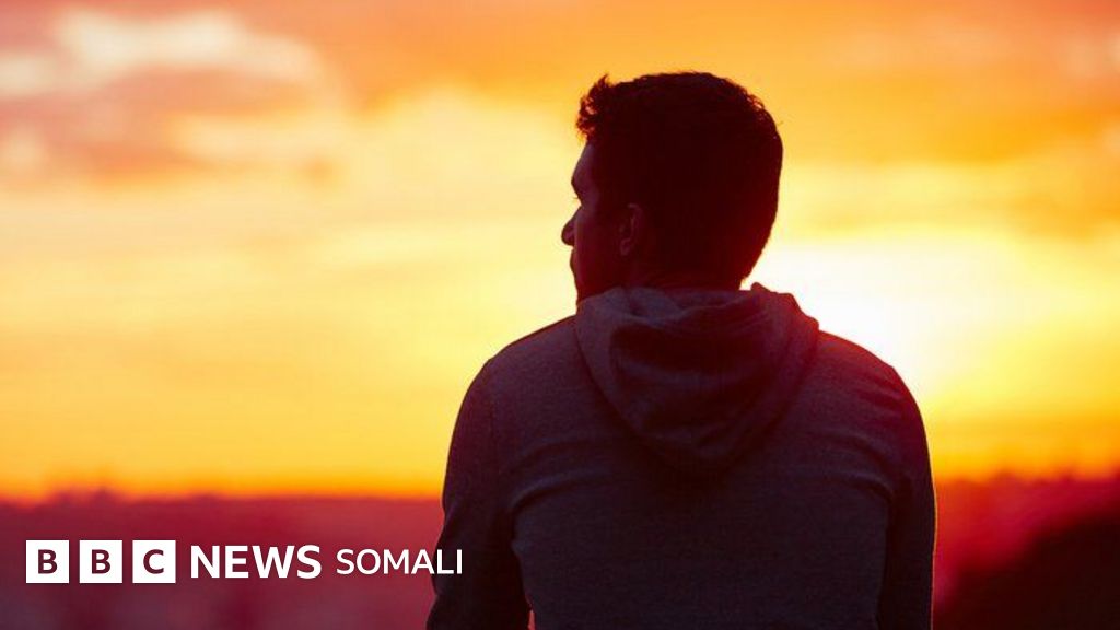 Bree van de Kamp lezbiyen sifatida chiqadi.