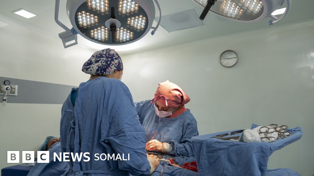 It uslubida qattiq eshak It uslubida qattiq eshak