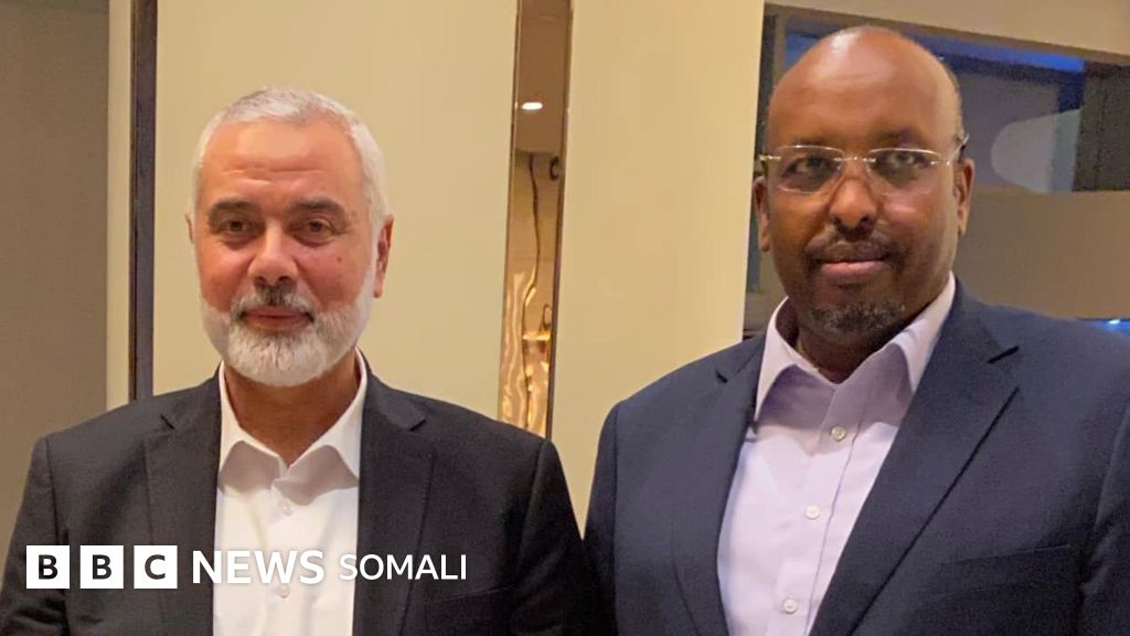 Koreys kokrak rasmlar