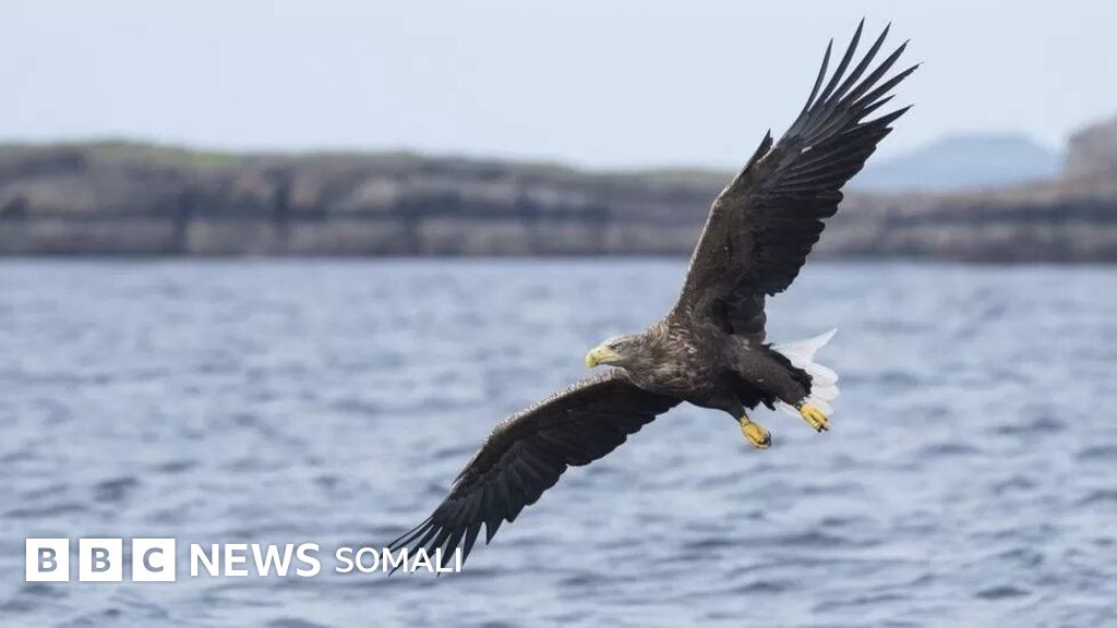 VK-da katta eshak porno onlayn Yasmine lafitte pornonline