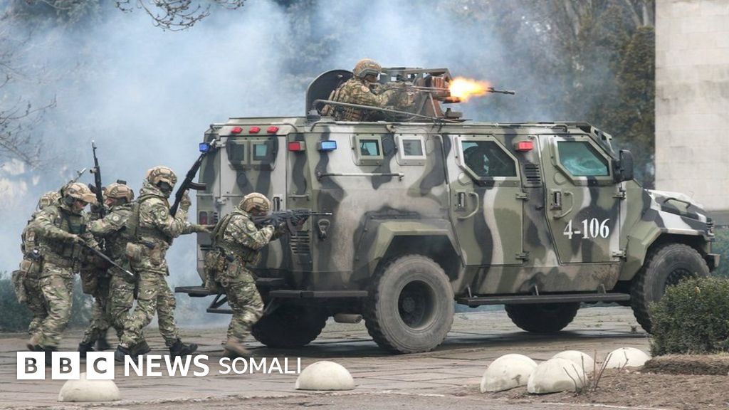 Julia Vang va uning porno videolari