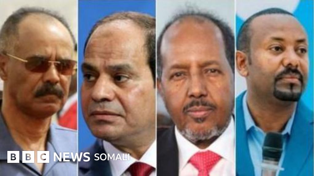 Transseksual porno korsatuv