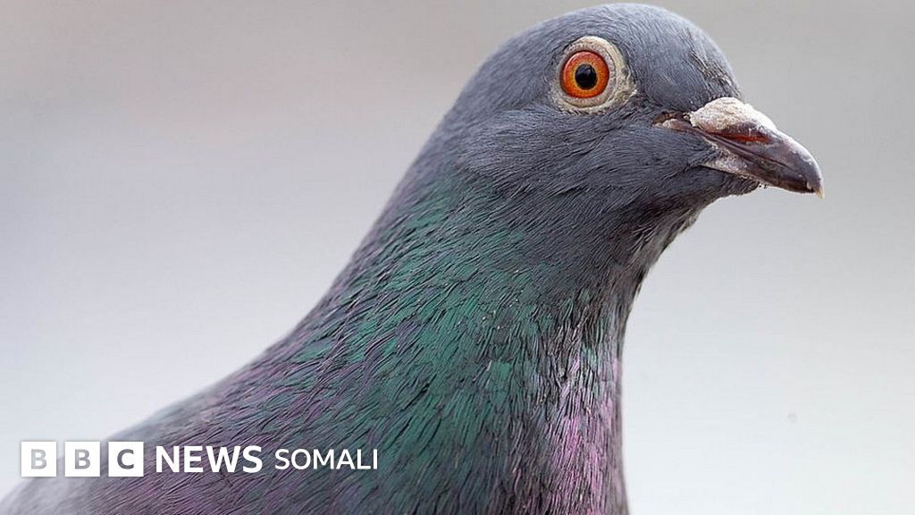 Kiprda yalangoch fotosuratlar Sasha Grey anal fotosurati