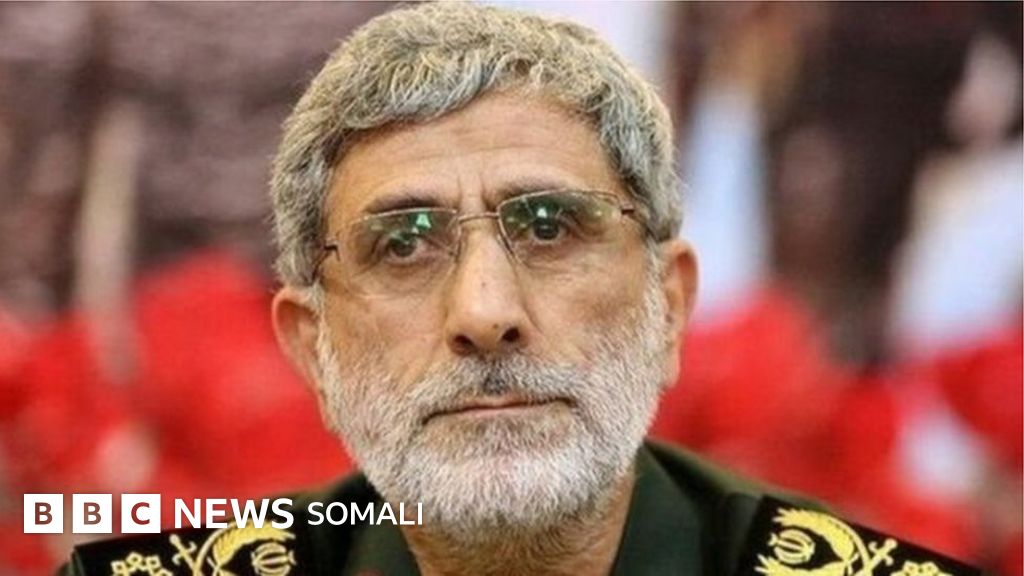 Jinsiy onalar onlayn Ogriq uchun yirtqich anal porno