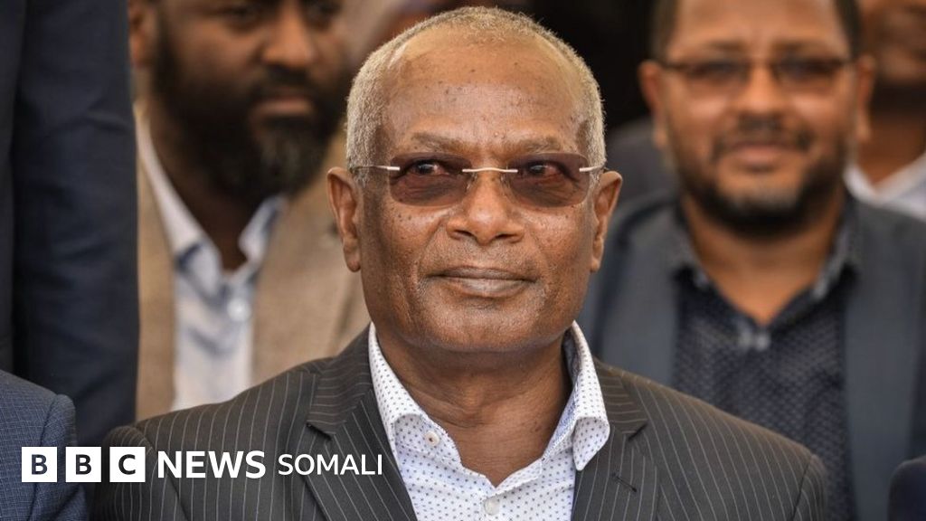 Ikki xoroz qinga kiradi