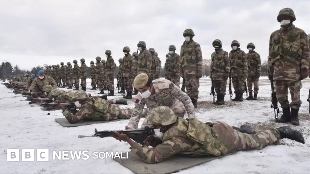 Qoriqchi toliq buxgalterni eshagi bilan sikdi.