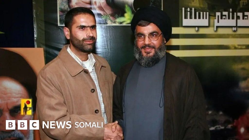 Katta kokraklardagi sperma fotosurati