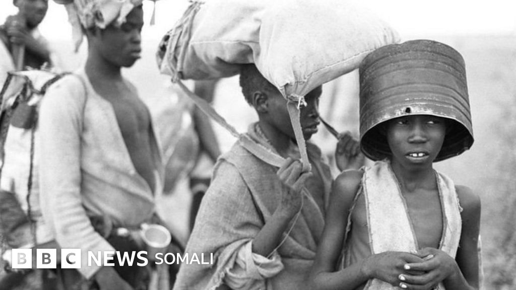 Axtyrka: Royxatdan otmasdan pullik jinsiy aloqa