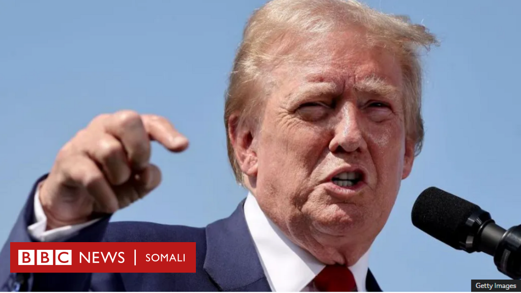 Waa sidee xaalka magaalooyinkii Trump sheegay in ‘eyda laga cuno’ uuna ka bilaabi doono masaafurinta ugu badan? – BBC News Somali