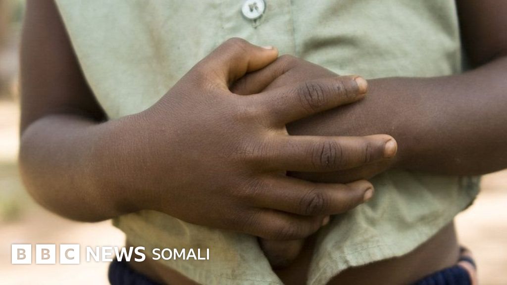 Sikli ayollar xxx Arab porno videolar