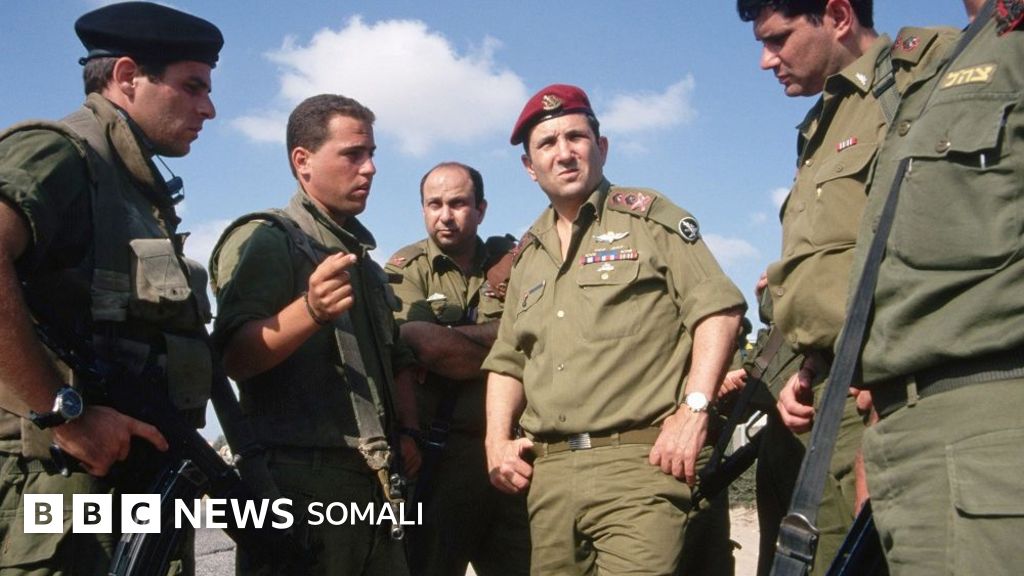 Yetuk xolalar bilan jinsiy aloqa