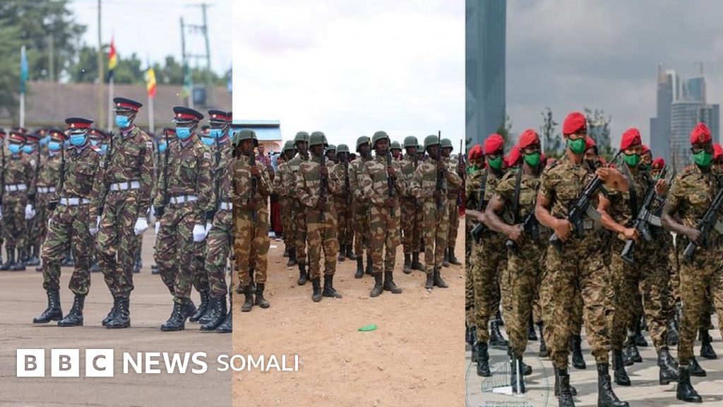 Kok bilan porno Pick-up artist porno video Erik