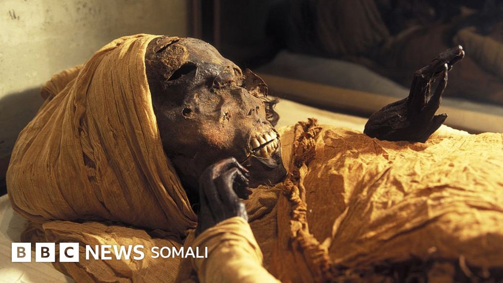 Jinsiy kokrak pussies eshaklar