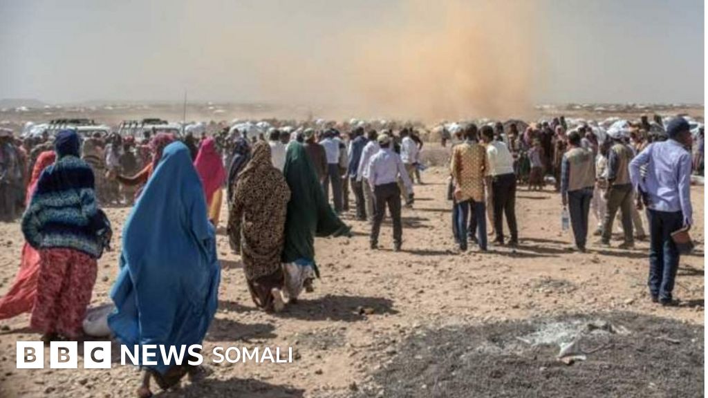 Paypoqdagi ajoyib kaltaklar Yalangoch ozarbayjon ayollari suratlari