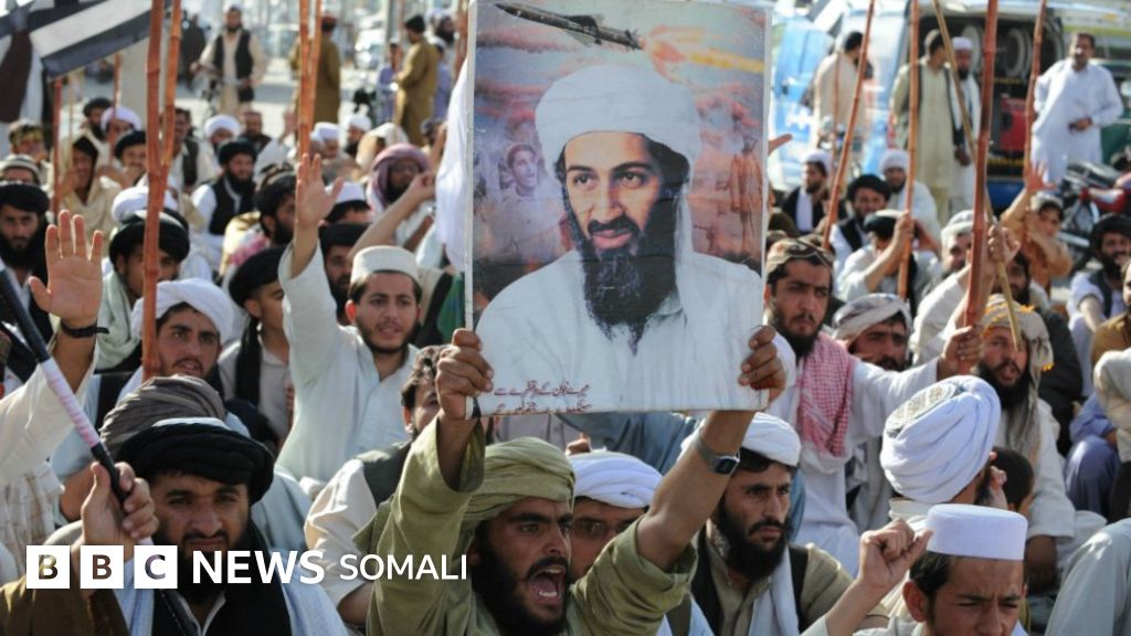 Mompovni tomosha qiling