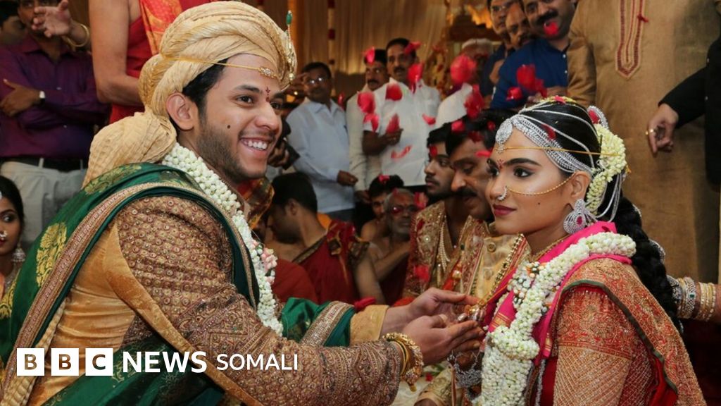 Seks-shou dasturlari