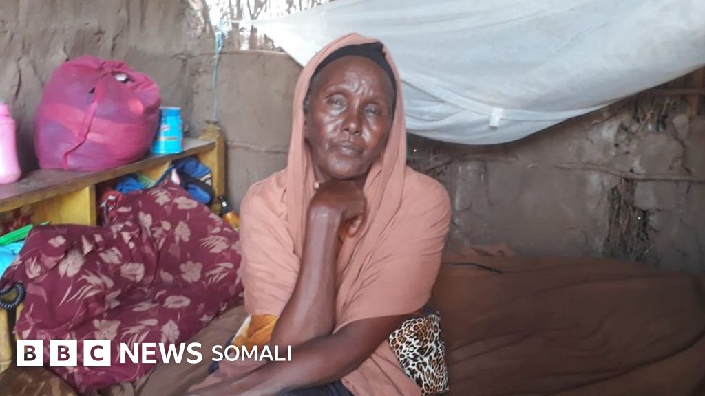 Yuzda otirgan mushukning jinsiy aloqa videosi