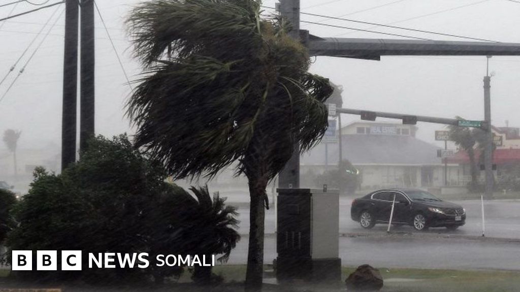 Katta yoldan kelgan fohisha