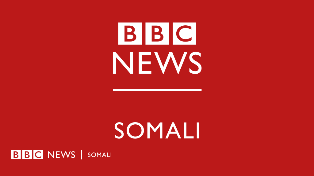 Saarista Warbixinta Bbc Ee Ku Saabsanayd Madaxweyne Hore Maxamed Cabdullaahi Farmaajo Bbc News