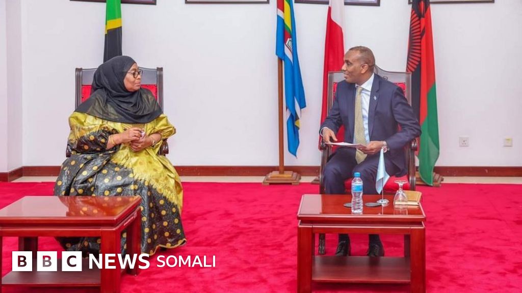 Paypoqdagi hol mushukning erotik fotosuratlari