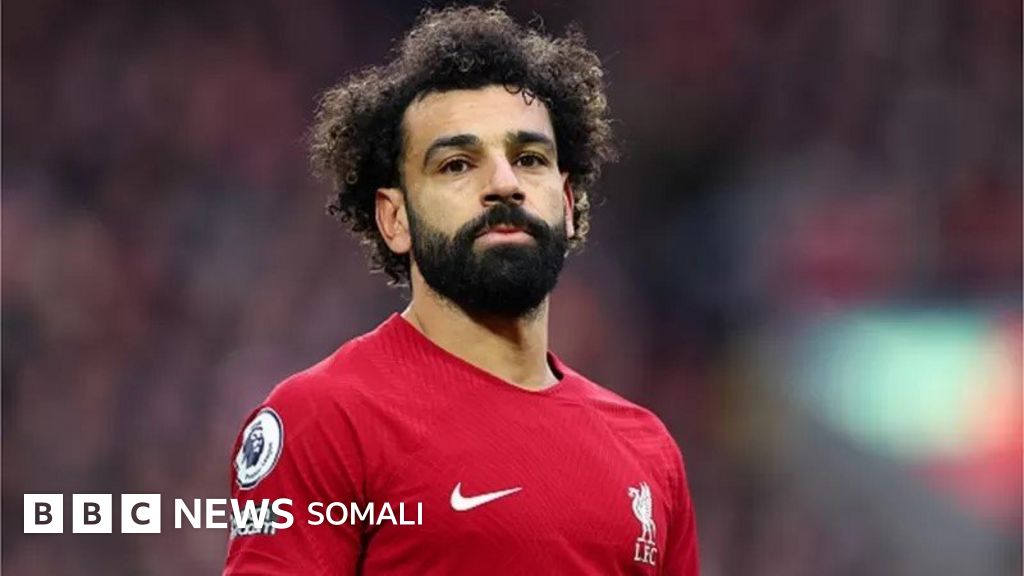 Uni godaklar porno onlayn Luiza Marining porno suratlari