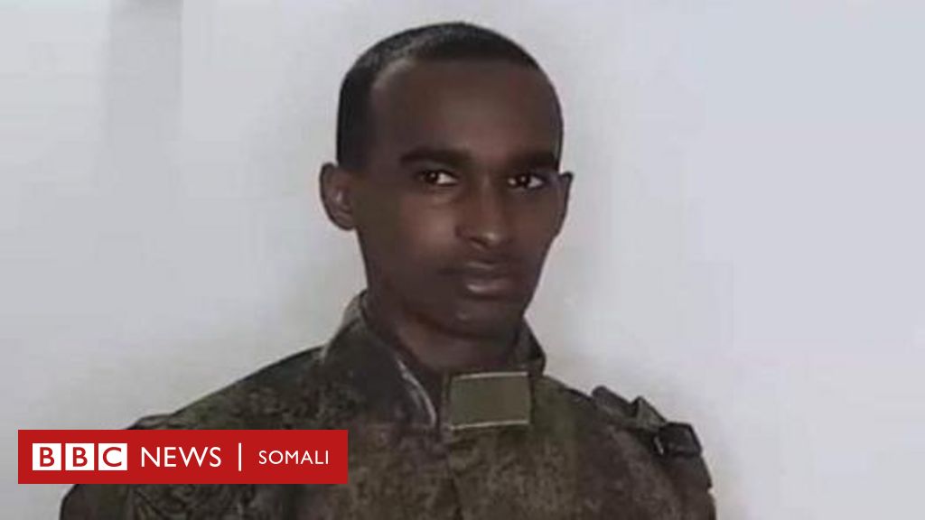 Maxaa Ka Jira In Nin Soomaali Ah Ukraine Lagu Xiray - BBC News Somali