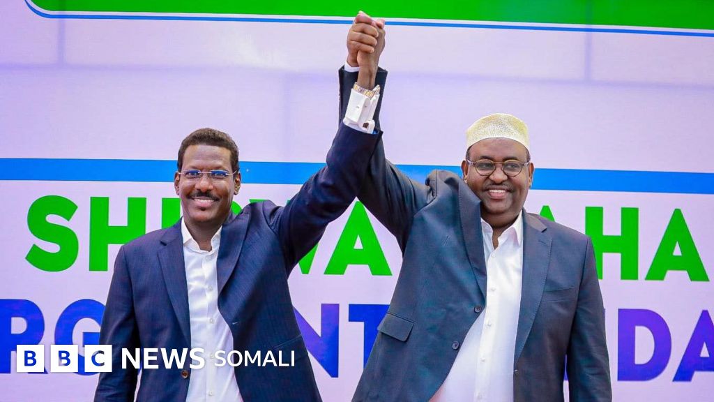 Sperma bilan qoplangan xorozlarning fotosuratlari