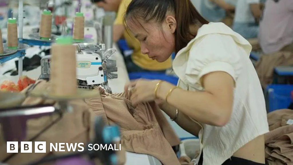 Wax ka ogow xaqiiqda ka dambeysa dharka laga dalbado shirkadda Shein iyo halka lagu sameeyo - BBC News Somali