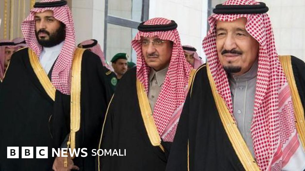 Aleksis Texasning katta eshagi Aleksis Texasning katta eshagi