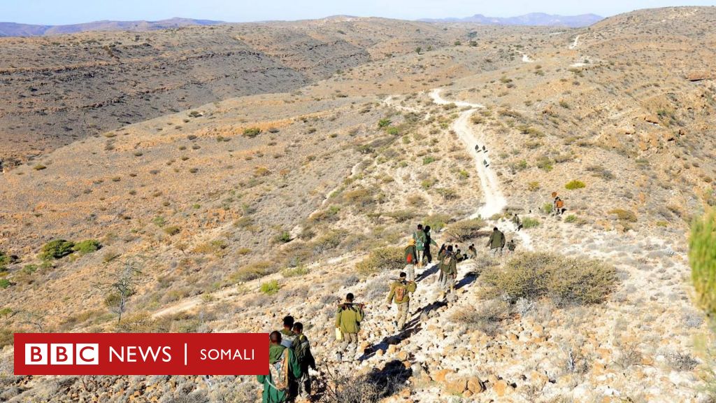 Dhegeyso: Puntland oo dishay sarkaalkii Drone-ka u qaabilsanaa Daacish ...