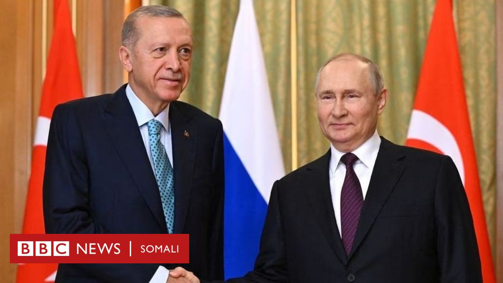 Turkiga Oo Ruushka Kala Hadlaya Arrin Soomaaliya Saameyn Ku Leh - BBC ...