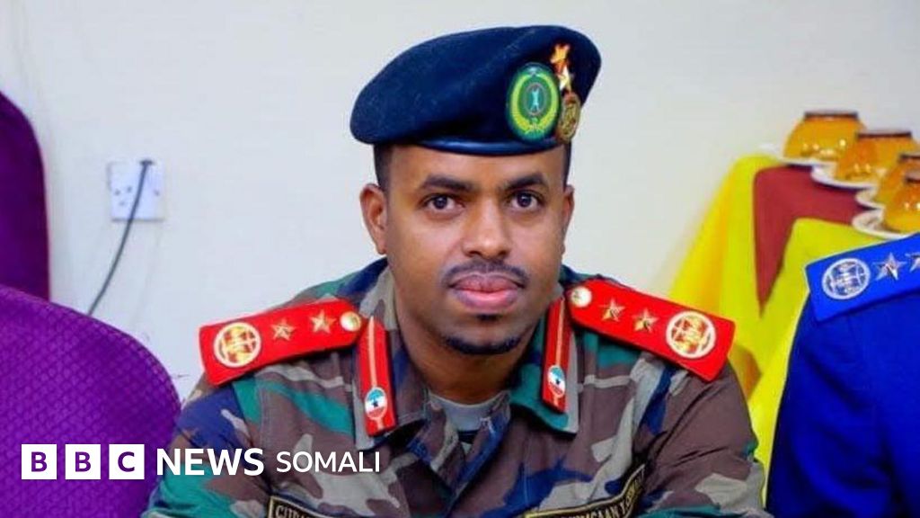 Qattiq sikilgan chubby qizlar