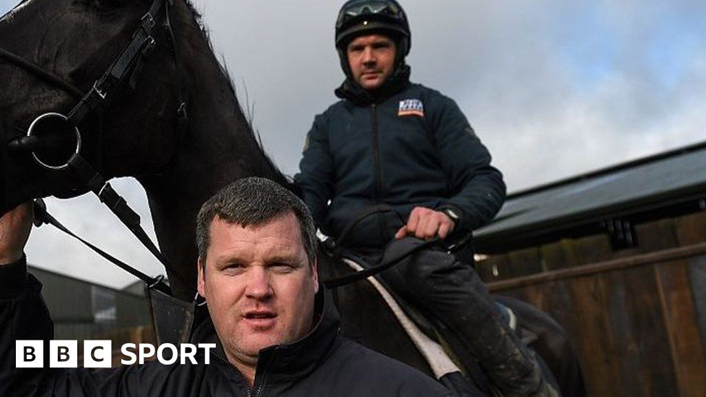 Stable Employee Banned For Taking Gordon Elliott Dead Horse Photo - BBC ...