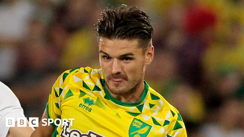 Norwich City Quiz: The Goreham Check Answer - BBC Sport